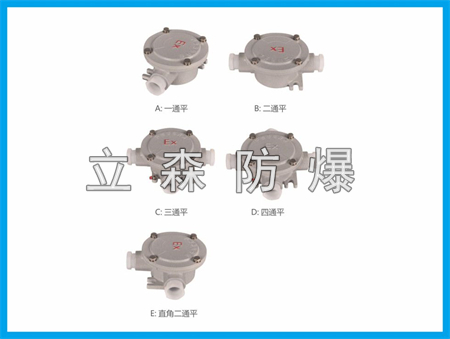 BFJ74防爆接线盒